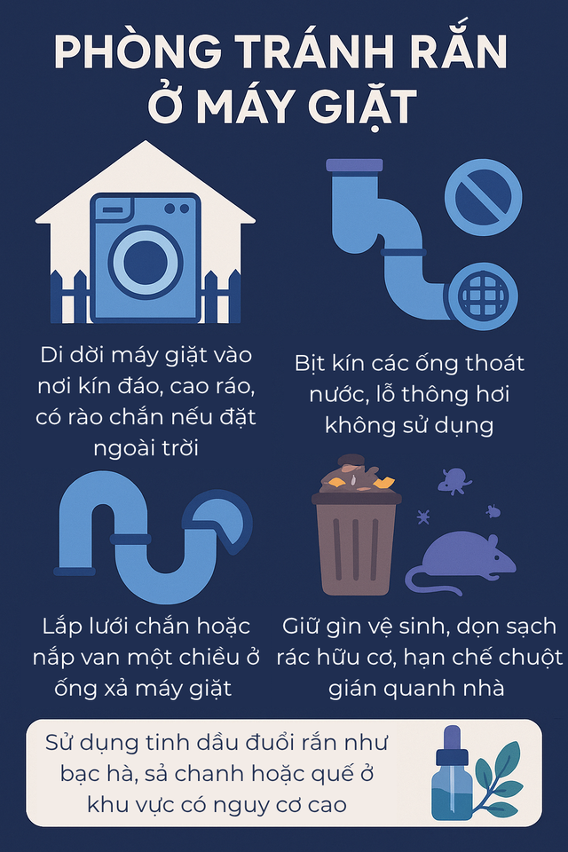 Kiểm tra máy giặt, người dùng tá hỏa phát hiện có rắn bên trong: Chúng đi vào từ đường nào? - Ảnh 5.