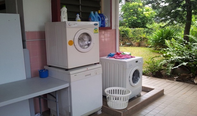 Kiểm tra máy giặt, người dùng tá hỏa phát hiện có rắn bên trong: Chúng đi vào từ đường nào? - Ảnh 2.