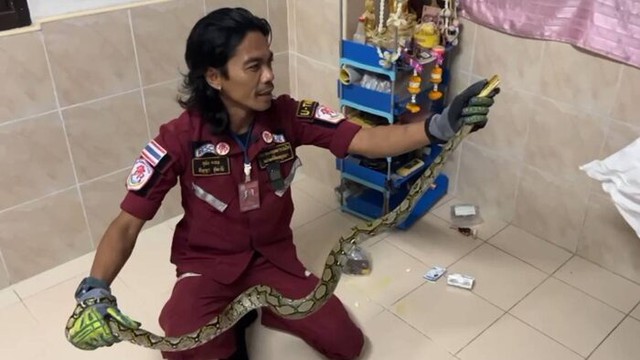 Để cửa mở rồi đi ngủ, 3 giờ sáng cặp đôi hốt hoảng tỉnh dậy... - Ảnh 2.