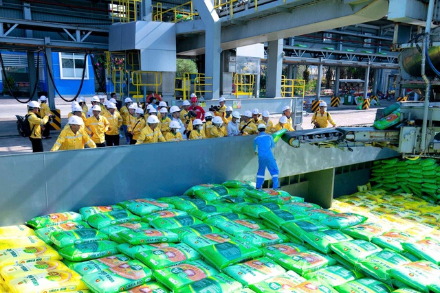 Bước ngoặt ấn tượng, doanh nghiệp Việt ghi nhận thành tích hiếm có trong ngành - Ảnh 2.