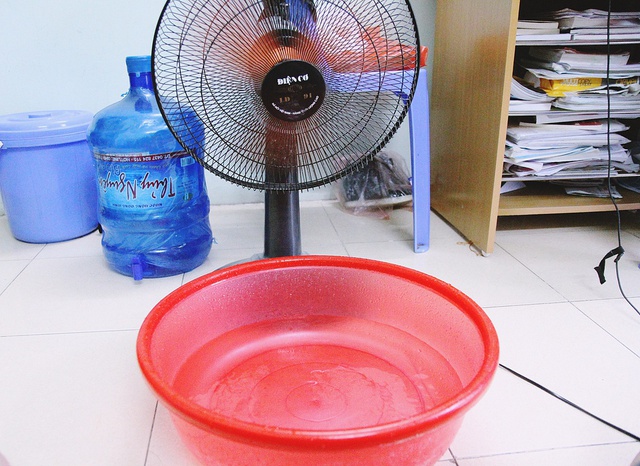 Đặt chậu nước, chậu đá trước quạt có giúp làm mát nhà hơn không? Câu trả lời của chuyên gia gây bất ngờ - Ảnh 1.