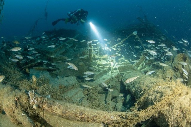 - Ảnh 1. - Ảnh 1.