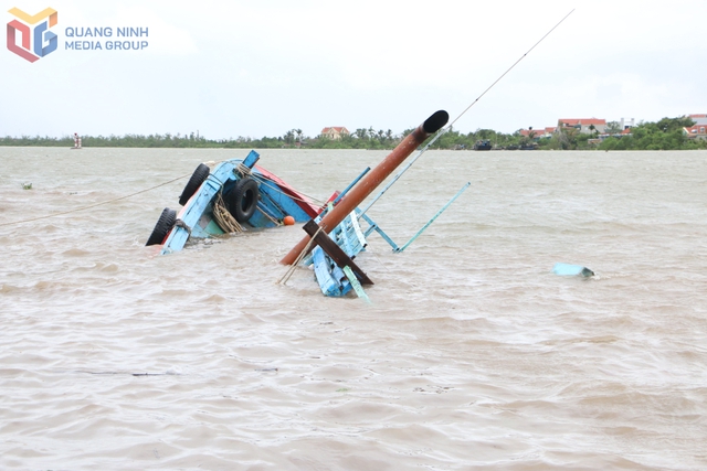 Ngày mai, - Ảnh 1.