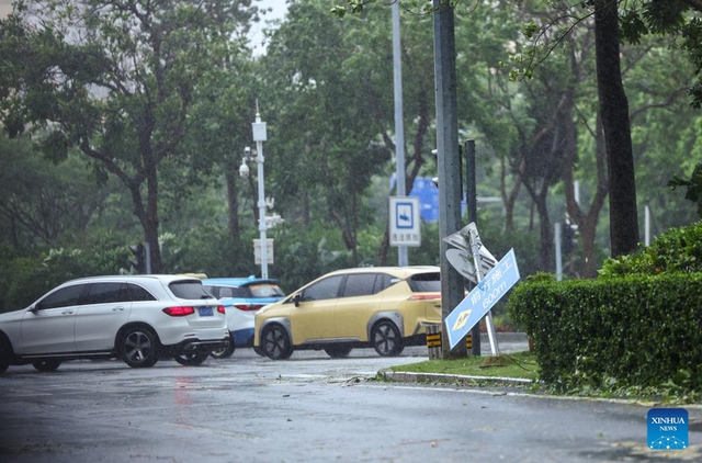 Bão Wipha dội lượng mưa rất lớn xuống Trung Quốc - Ảnh 7.