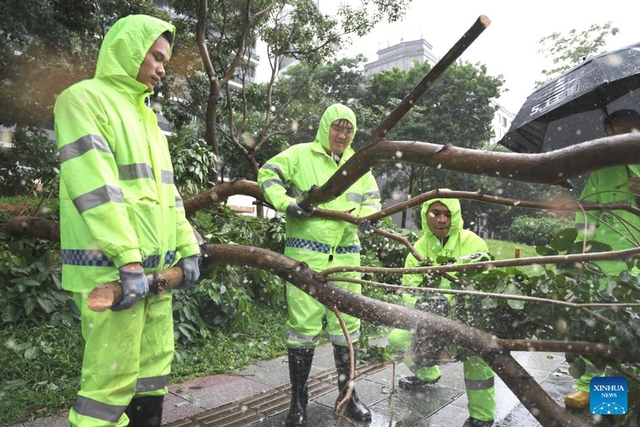 Bão Wipha dội lượng mưa rất lớn xuống Trung Quốc - Ảnh 5.
