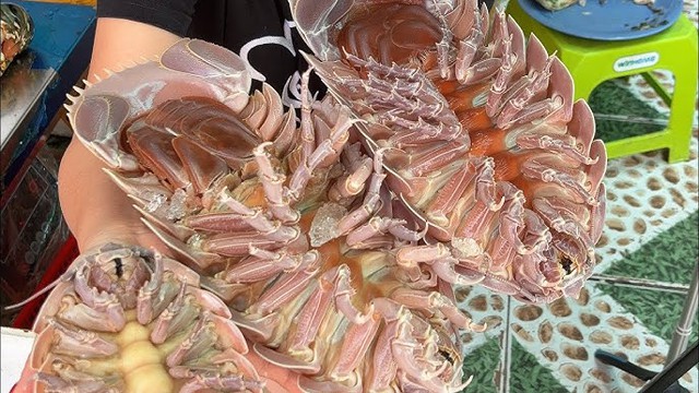Lần đầu tìm thấy loài vật hiếm chỉ có ở Việt Nam: Kích thước lớn nhất thế giới, nguồn gốc tiến hóa bí ẩn - Ảnh 6.