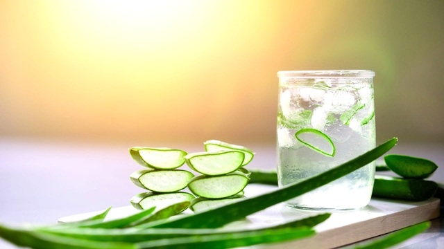 Việt Nam sở hữu loài cây nha đam "đổi đời" người nông dân, xuất khẩu hơn 20 nước - Ảnh 3. Việt Nam sở hữu loài cây nha đam "đổi đời" người nông dân, xuất khẩu hơn 20 nước - Ảnh 3.