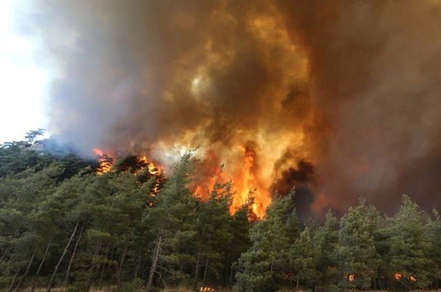 Thành phố hàng triệu người đang bị lửa đe dọa - Ảnh 9.