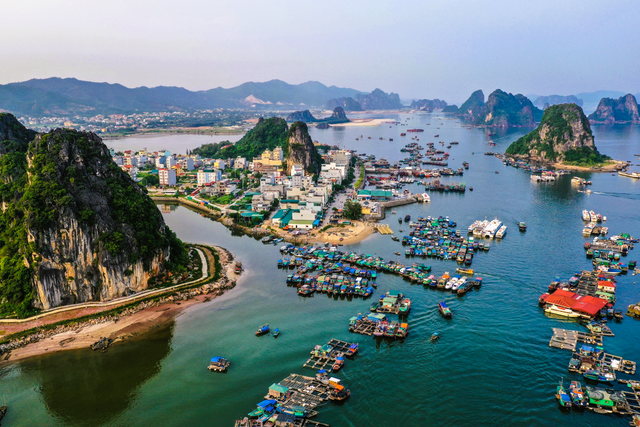 Quảng Ninh