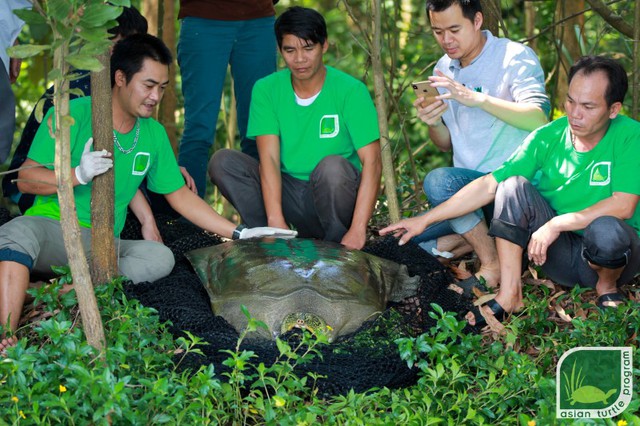 Loài vật khiến giới khoa học quốc tế, Việt Nam chạy đua với thời gian để cứu 2 cá thể cuối của thế giới - Ảnh 3.