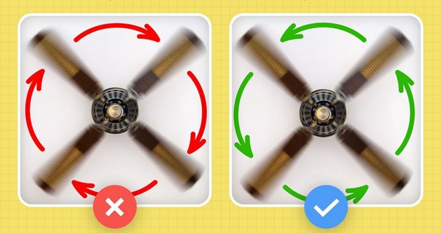 - Ảnh 3. - Ảnh 3.