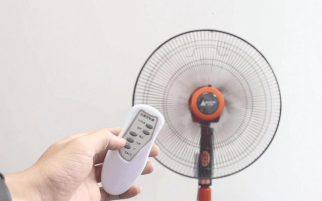 - Ảnh 4. - Ảnh 4.