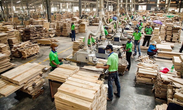 Chàng trai học hết lớp 9 kiếm lương 16 triệu: Nên đổi việc hay học nghề chụp ảnh? - Ảnh 1. Chàng trai học hết lớp 9 kiếm lương 16 triệu: Nên đổi việc hay học nghề chụp ảnh? - Ảnh 1.