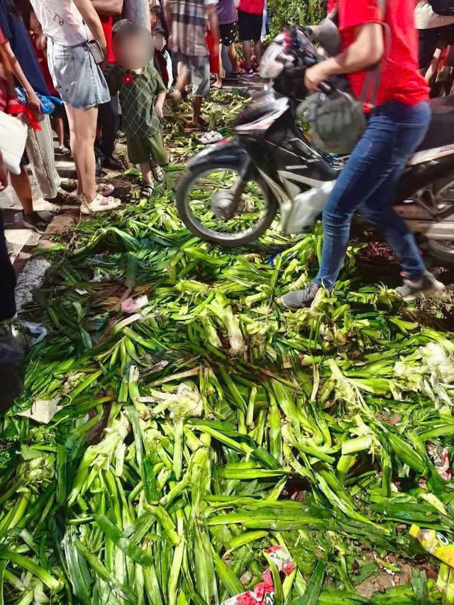 Người dân vượt rào bảo vệ, dẫm nát cây khi đi xem hợp luyện diễu binh: Công an Hà Nội khuyến cáo - Ảnh 2.