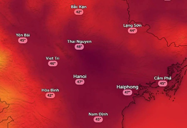 Nắng nóng chạm ngưỡng 40°C: Những cách làm mát không tốn điện, đơn giản ai cũng làm được - Ảnh 1.