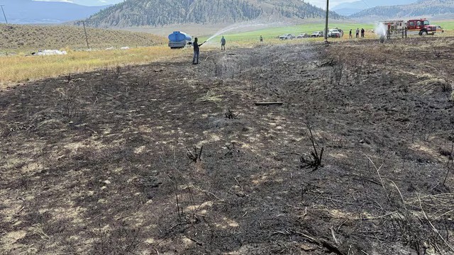 Canada: Cháy rừng do con cá từ trên trời rơi xuống! - Ảnh 1.