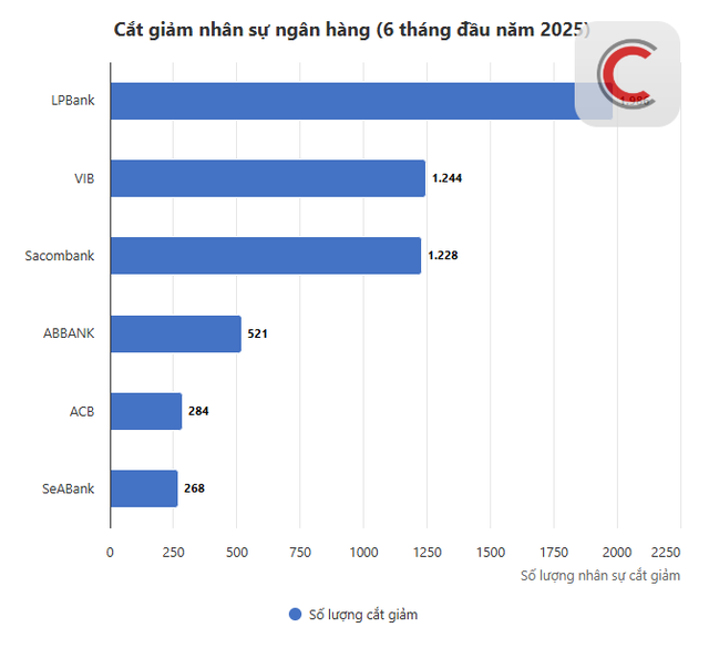 Gần 6.000 nhân sự ngân hàng mất việc trong nửa đầu năm: LPBank, VIB, Sacombank mỗi nhà băng giảm hơn 1.000 vị trí - Ảnh 1.