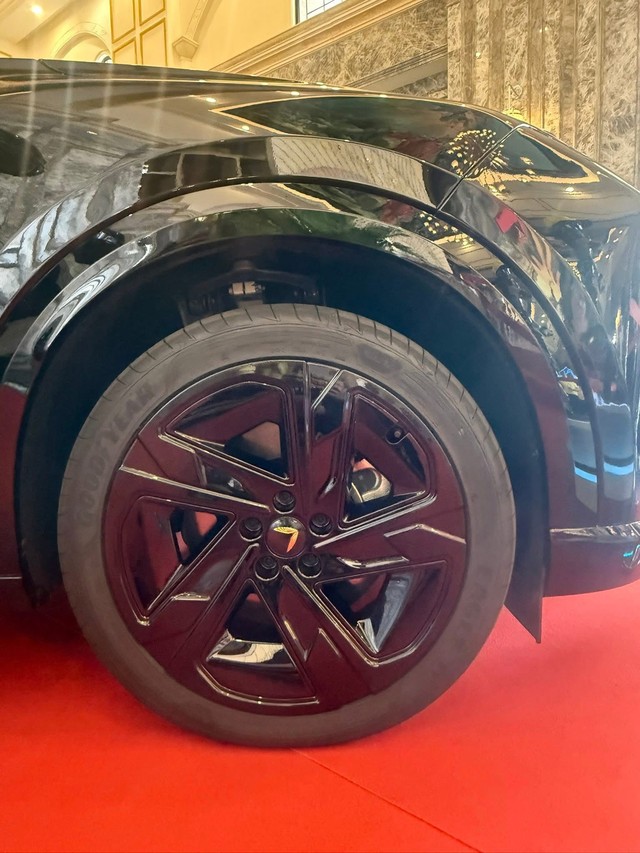 Limousine siêu sang của VinFast lộ thêm ảnh: Logo cánh chim vàng, vách ngăn như Rolls-Royce, ốp gỗ thật - Ảnh 4.