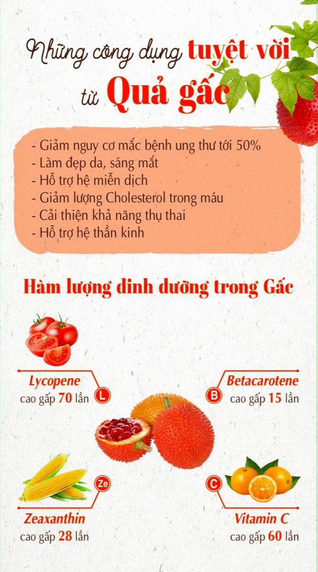 Chuyện về Vua Gấc, người lính già biến loài cây ruột đỏ thành "vàng ròng": Thu 25 tỷ mỗi năm - Ảnh 2. Chuyện về Vua Gấc, người lính già biến loài cây ruột đỏ thành "vàng ròng": Thu 25 tỷ mỗi năm - Ảnh 2.