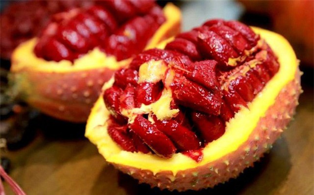 Chuyện về Vua Gấc, người lính già biến loài cây ruột đỏ thành "vàng ròng": Thu 25 tỷ mỗi năm - Ảnh 1. Chuyện về Vua Gấc, người lính già biến loài cây ruột đỏ thành "vàng ròng": Thu 25 tỷ mỗi năm - Ảnh 1.