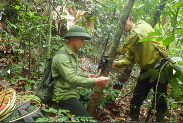 Loài vật quý hiếm ngỡ đã tuyệt chủng bất ngờ trở lại sau gần 100 năm tại Việt Nam - Ảnh 5.