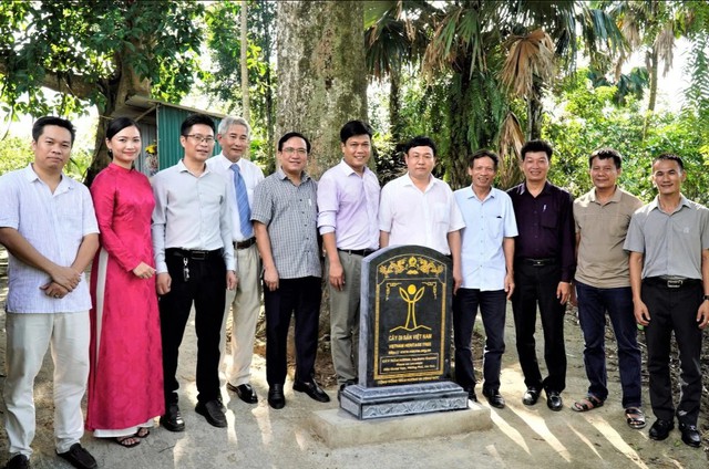 'Báu vật sống' hơn 200 năm tuổi, nay chính thức trở thành Di sản Việt Nam - Ảnh 1.