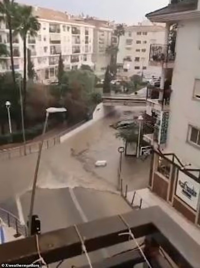 Bão dữ quật Tây Ban Nha, cây bật gốc, đường thành sông - Ảnh 2.