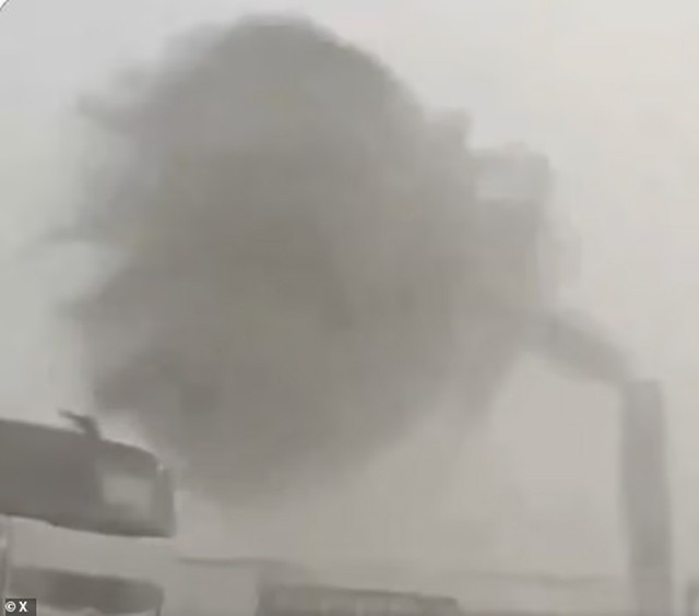 Bão dữ quật Tây Ban Nha, cây bật gốc, đường thành sông - Ảnh 3.