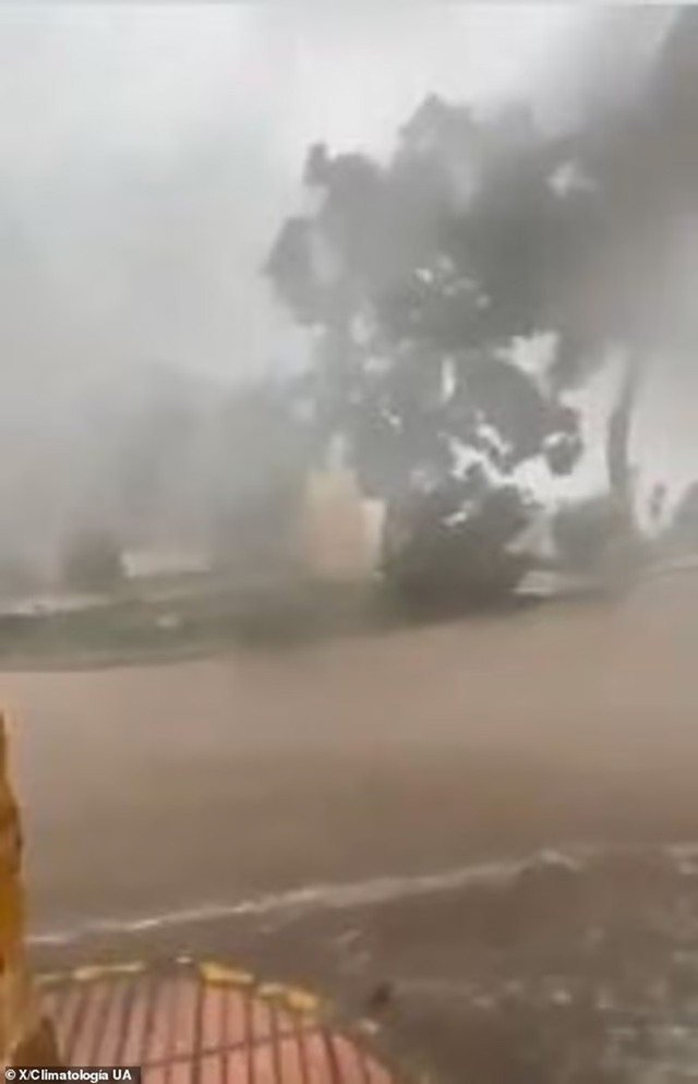 Bão dữ quật Tây Ban Nha, cây bật gốc, đường thành sông - Ảnh 4.