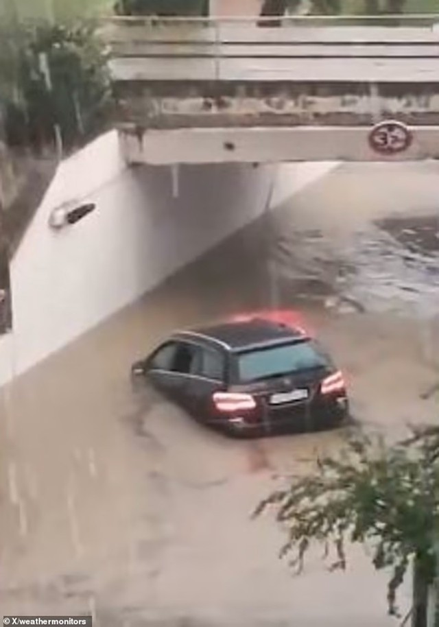 Bão dữ quật Tây Ban Nha, cây bật gốc, đường thành sông - Ảnh 5.