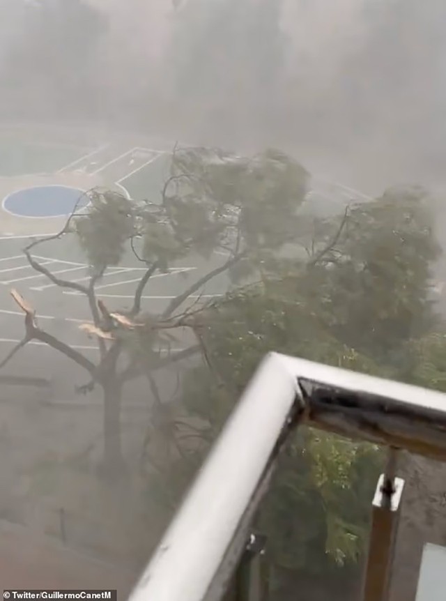 Bão dữ quật Tây Ban Nha, cây bật gốc, đường thành sông - Ảnh 6.