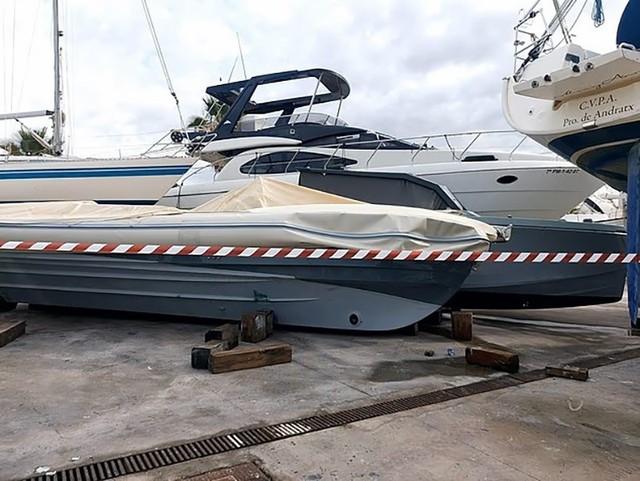 Bão dữ quật Tây Ban Nha, cây bật gốc, đường thành sông - Ảnh 8.