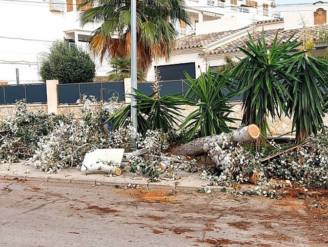 Bão dữ quật Tây Ban Nha, cây bật gốc, đường thành sông - Ảnh 9.