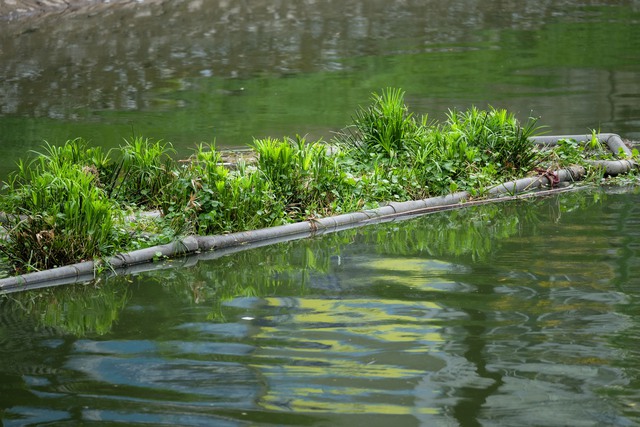 'Mảnh ghép' cuối cùng để sông Tô Lịch trở lại như huyền thoại - Ảnh 4.