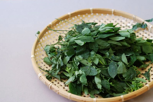 Loại rau được ví như "thần dược của sản phụ", rẻ hơn rau lang, rau cải: Ở Việt Nam chỉ nấu canh là quá phí - Ảnh 1.