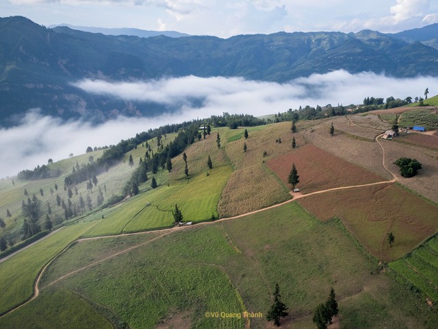 Thảo nguyên rộng lớn ngay vùng núi phía Bắc, cách Hà Nội 400km: Du khách nhận xét "như Châu Âu thu nhỏ" - Ảnh 1.