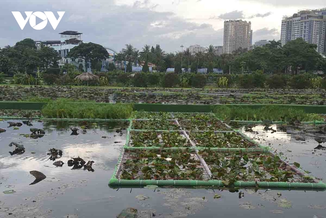 Cấp nước cho sông Tô Lịch, Hồ Tây 'sống' bằng nguồn nước nào? - Ảnh 2.