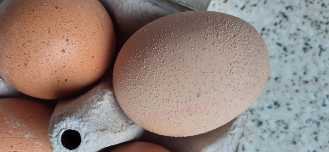 Đi chợ nên mua trứng vỏ trơn hay vỏ nhám? Đây là lời khuyên của chuyên gia - Ảnh 3.