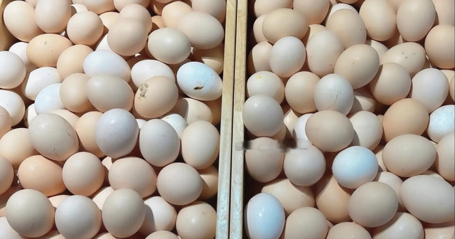 Đi chợ nên mua trứng vỏ trơn hay vỏ nhám? Đây là lời khuyên của chuyên gia - Ảnh 1.