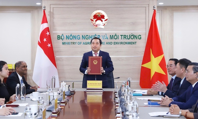 Việt Nam và Singapore vừa ký kết chiến lược về thị trường tín chỉ carbon ước đạt 250 tỷ USD: "Bùng nổ" năm 2050 - Ảnh 1.