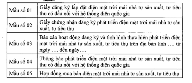 Cách lắp đặt điện mặt trời đúng quy định như EVN nêu, không bị phạt - Ảnh 2.