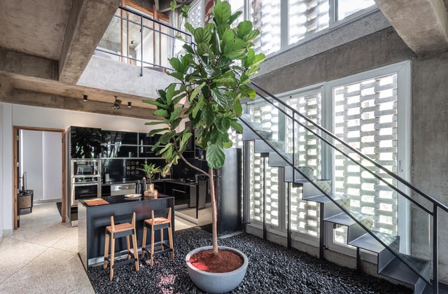 "Nhà càng ở càng phát đạt" đều có 4 đặc điểm sau đây: Nhiều người đọc xong chiêm nghiệm mới thấy đúng- Ảnh 1. "Nhà càng ở càng phát đạt" đều có 4 đặc điểm sau đây: Nhiều người đọc xong chiêm nghiệm mới thấy đúng- Ảnh 1.