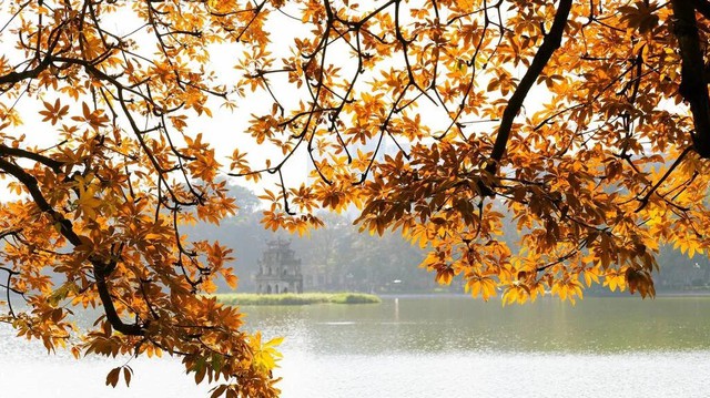 Ngang hàng Kyoto và Nami, thành phố duy nhất của Việt Nam lọt Top 7 điểm đến mùa thu đẹp nhất châu Á- Ảnh 1. Ngang hàng Kyoto và Nami, thành phố duy nhất của Việt Nam lọt Top 7 điểm đến mùa thu đẹp nhất châu Á- Ảnh 1.