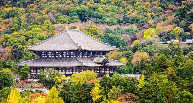 Ngang hàng Kyoto và Nami, thành phố duy nhất của Việt Nam lọt Top 7 điểm đến mùa thu đẹp nhất châu Á- Ảnh 3. Ngang hàng Kyoto và Nami, thành phố duy nhất của Việt Nam lọt Top 7 điểm đến mùa thu đẹp nhất châu Á- Ảnh 3.