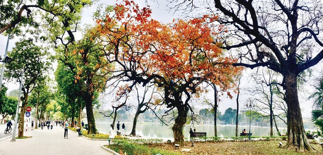 Ngang hàng Kyoto và Nami, thành phố duy nhất của Việt Nam lọt Top 7 điểm đến mùa thu đẹp nhất châu Á- Ảnh 6. Ngang hàng Kyoto và Nami, thành phố duy nhất của Việt Nam lọt Top 7 điểm đến mùa thu đẹp nhất châu Á- Ảnh 6.