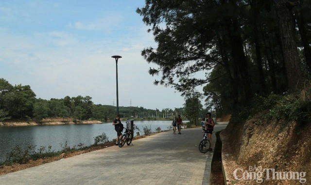 Công viên 70 tỷ bỏ hoang gần 20 năm ở miền Trung Việt Nam: Từng lên báo Mỹ, hiện trạng gây bất ngờ- Ảnh 16. Công viên 70 tỷ bỏ hoang gần 20 năm ở miền Trung Việt Nam: Từng lên báo Mỹ, hiện trạng gây bất ngờ- Ảnh 16.