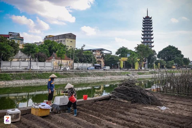 Hai dải đất 'kim cương v&agrave; v&agrave;ng' của c&ocirc;ng vi&ecirc;n tuyến s&ocirc;ng T&ocirc; Lịch- Ảnh 3.