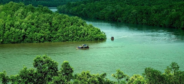 3 năm nữa từ TP.HCM đi Cần Giờ chỉ mất 15 phút, nhanh hơn ra sân bay, không bao giờ lo tắc đường- Ảnh 1.