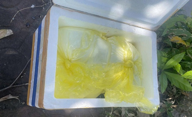 Bắt Lô Thị Ánh Tuyết và khám xét khẩn cấp nhà chị gái- Ảnh 2.