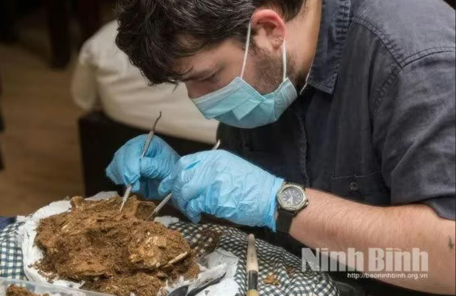 “Chiến binh Tràng An” 13.000 tuổi vừa tìm thấy ở Việt Nam là ai? - Ảnh 2.